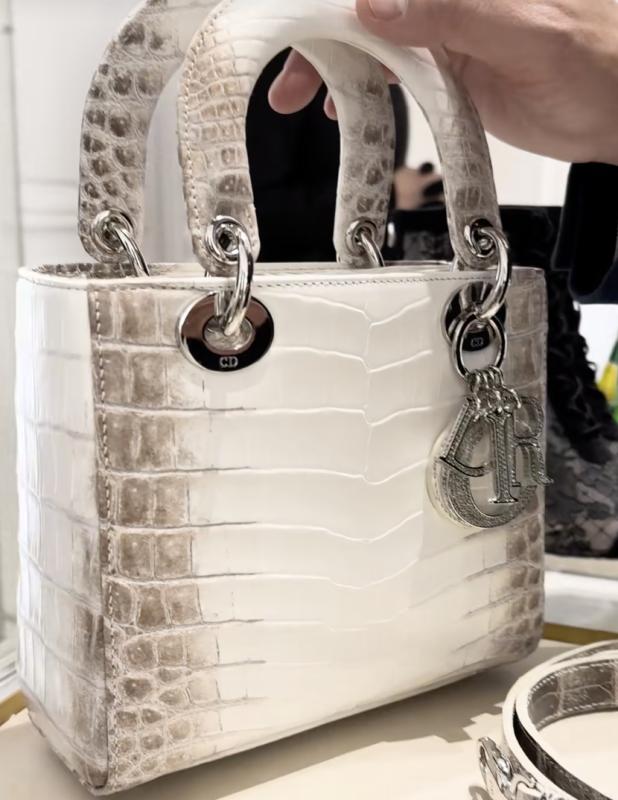bach tang,  Himalaya,  Lady Dior Himalayan Crocodile,  Hermes Birkin Himalaya anh 1