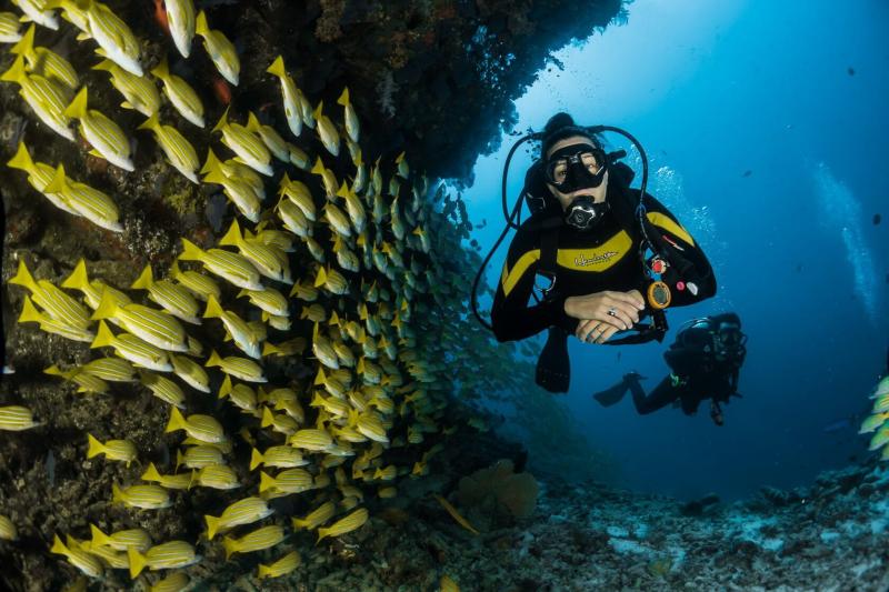 Cat Ba National Geographic anh 8