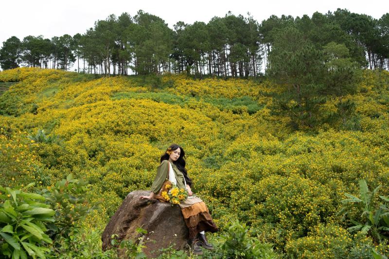 Da quy Da Lat anh 9