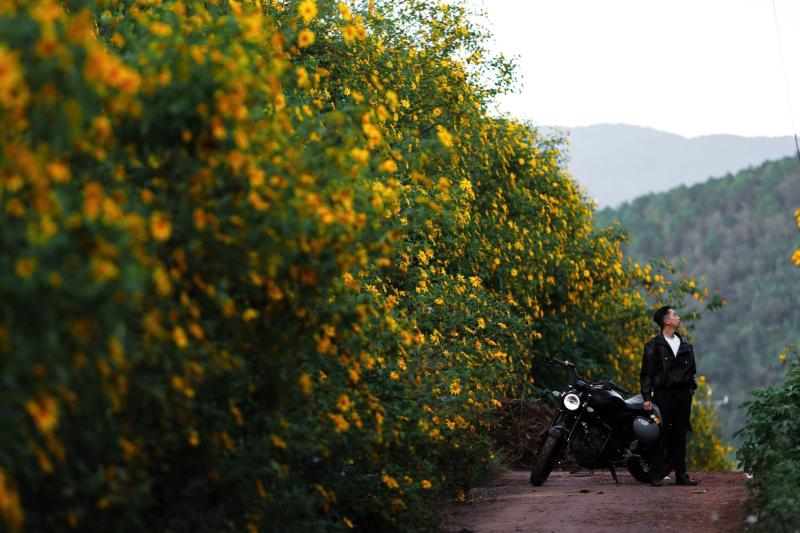 Da quy Da Lat anh 14