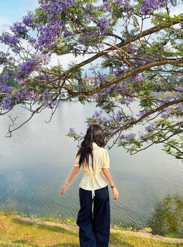 phuong tim Da Lat anh 6