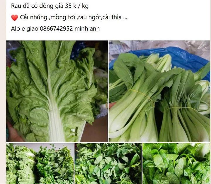gia rau anh 2