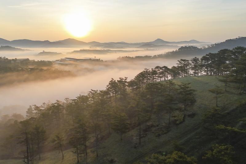 Viet Nam anh 9