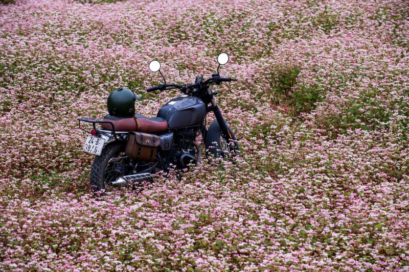 Ha Giang anh 9