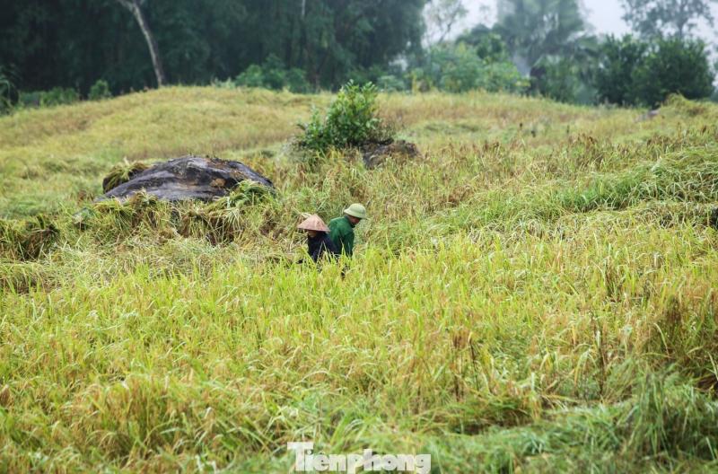 Sa Pa xu Thanh anh 10
