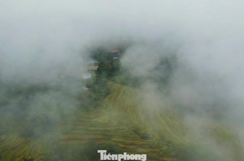 Sa Pa xu Thanh anh 1