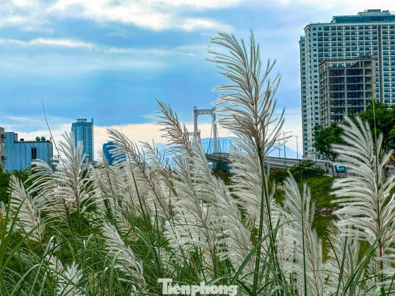 Co lau Da Nang anh 10