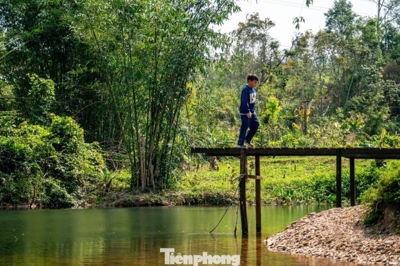 Ky Thuong anh 9