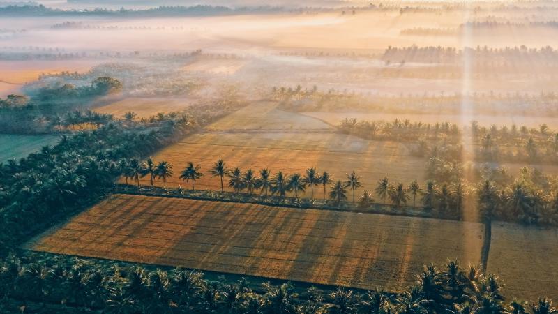 Tra Vinh anh 17