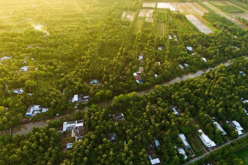 Tra Vinh anh 15