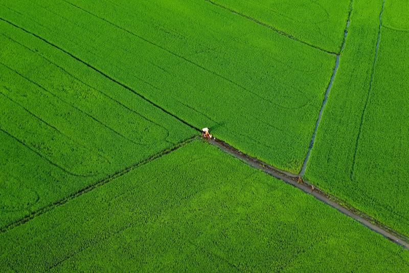 Tra Vinh anh 14