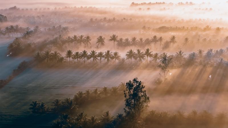 Tra Vinh anh 21