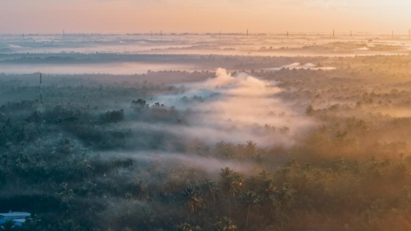 Tra Vinh anh 3