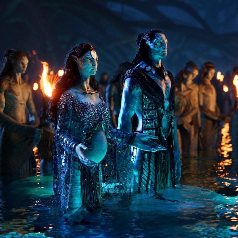 Avatar anh 8
