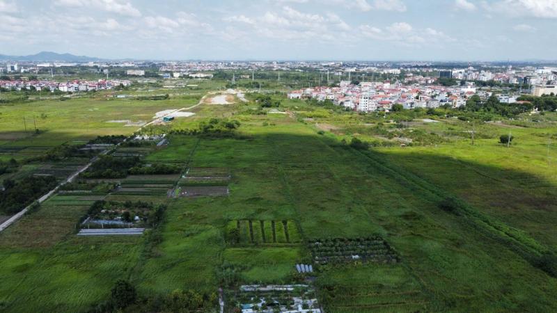 nha o xa hoi anh 1