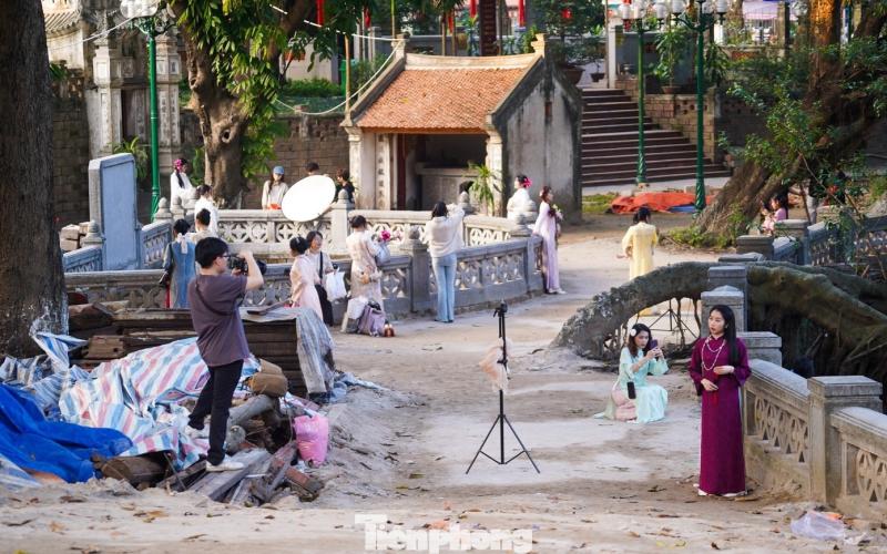 den anh 4