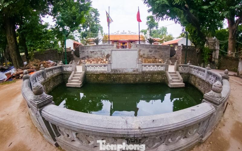 den anh 5