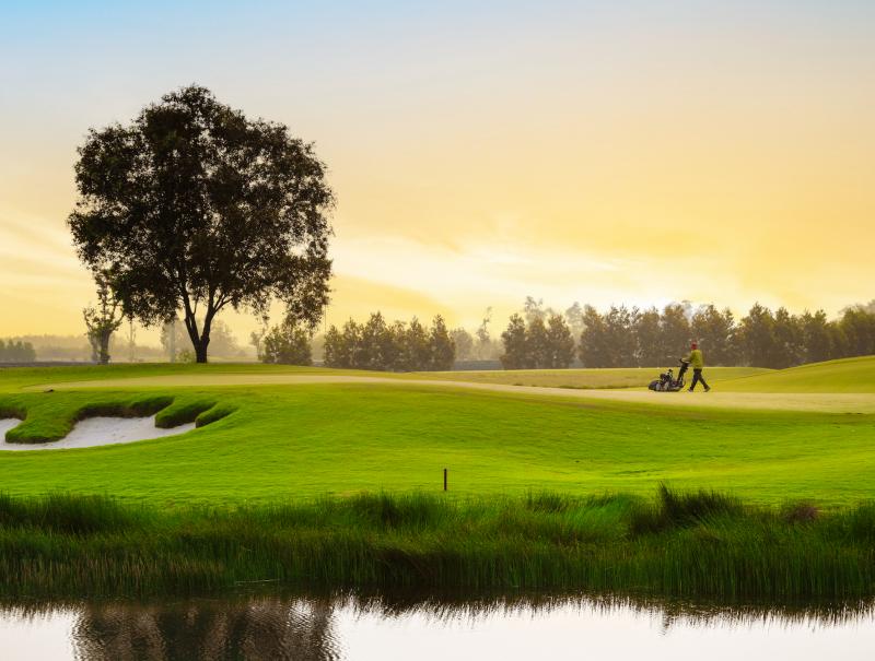 san golf anh 1