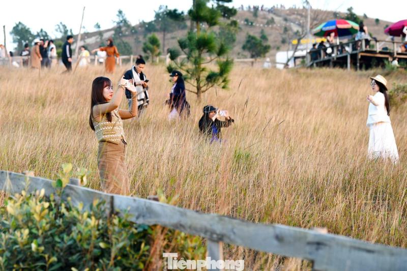 dinh Phuong Hoang anh 5
