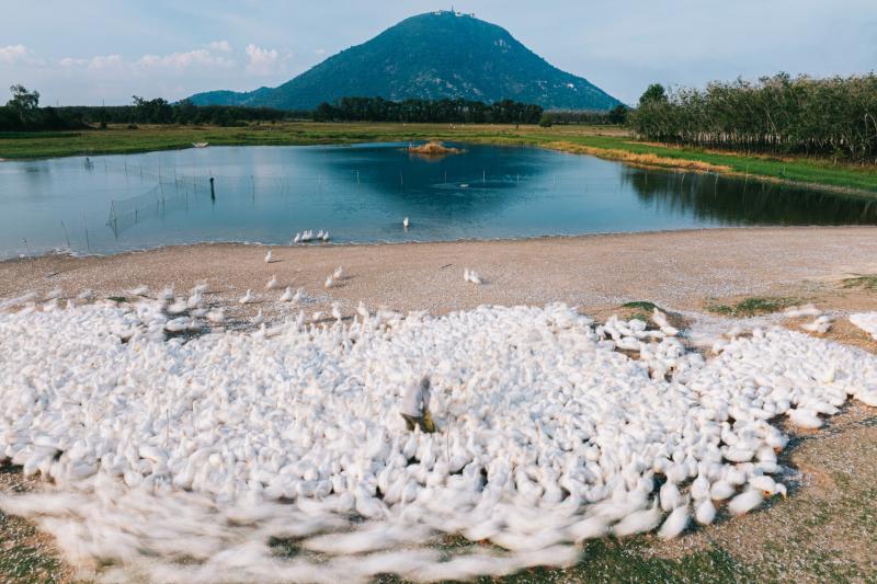 Tay Ninh anh 1