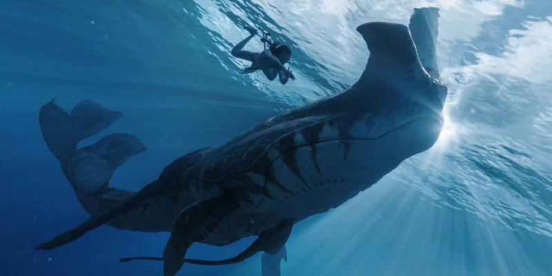 Avatar anh 3