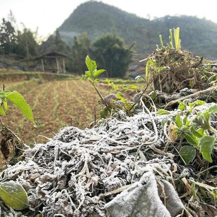 Bang gia,  cao nguyen Dong Van anh 1