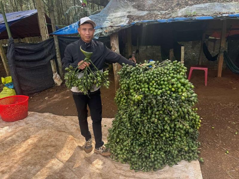 thuong lai trung quoc anh 2