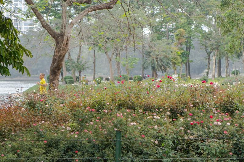 Cong vien anh 5