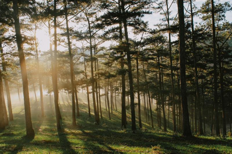 Da Lat anh 5