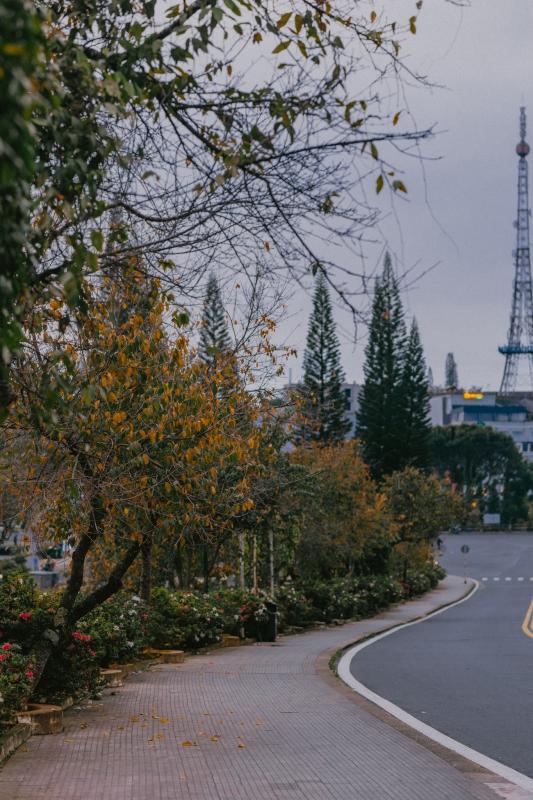 Da Lat anh 17