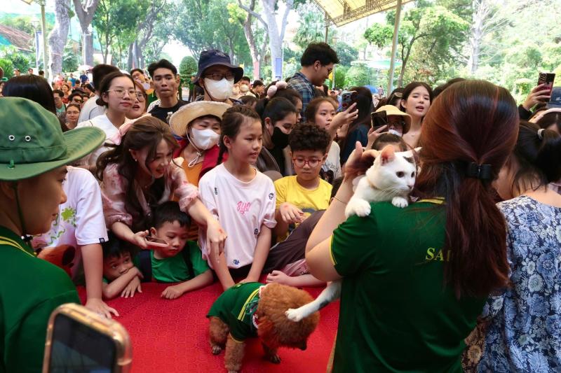 Thao Cam Vien,  Mika,  meo anh 6