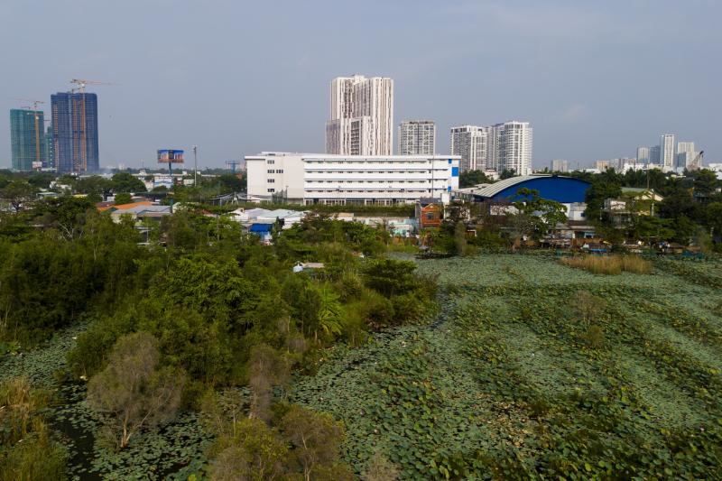 Ga thu thiem anh 12