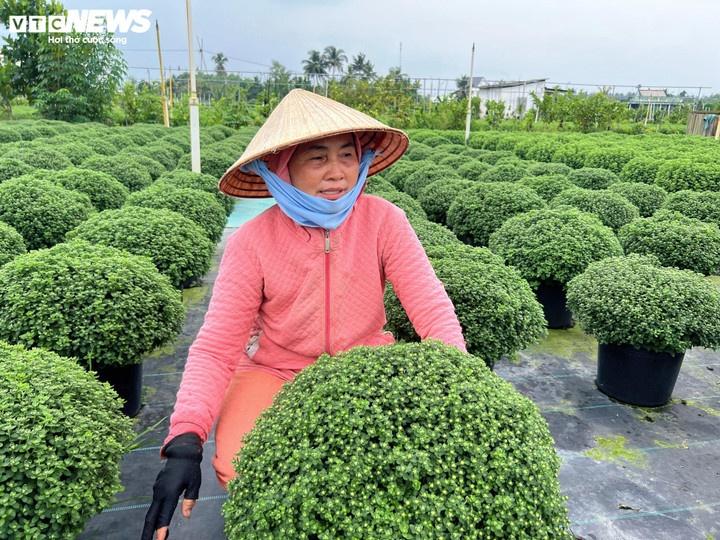Tet anh 3