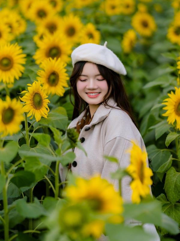 hoa huong duong Nghe An anh 15