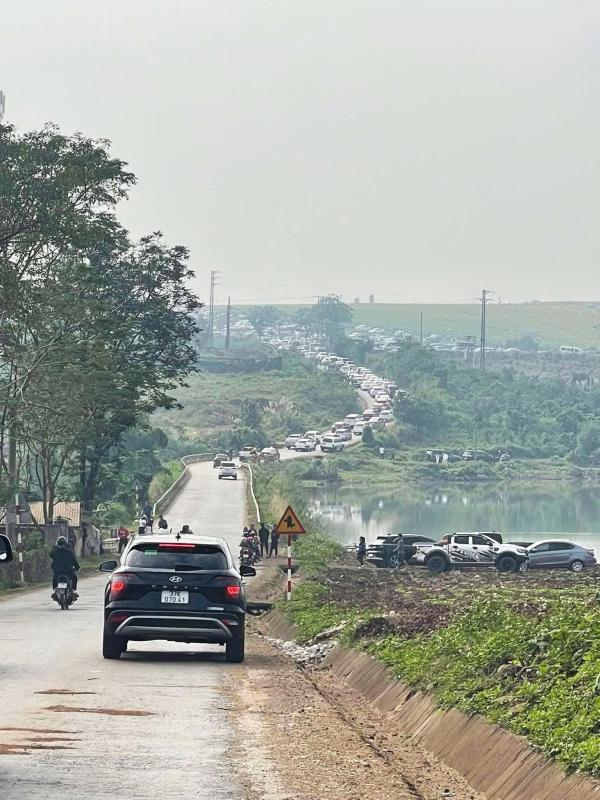 hoa huong duong Nghe An anh 5