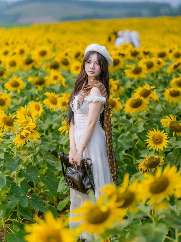 hoa huong duong Nghe An anh 16