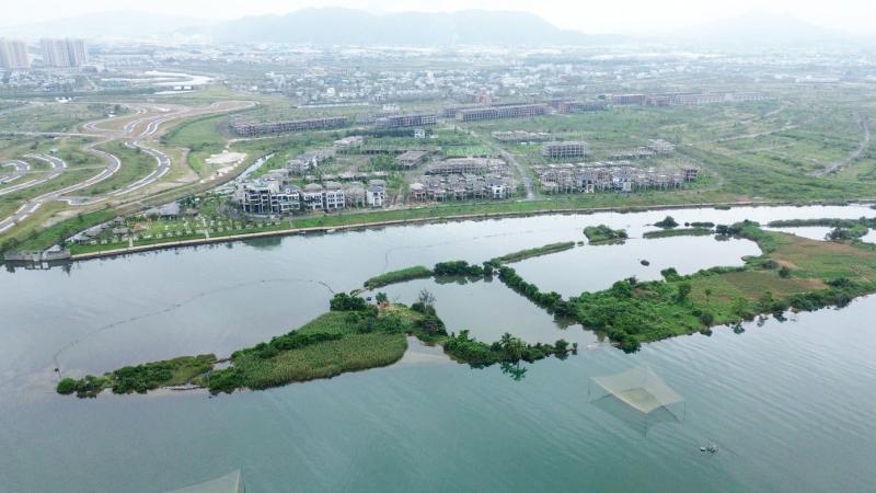 Golden Hills City anh 2