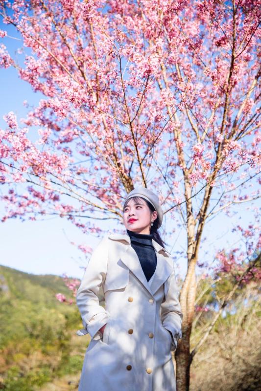 Mai anh dao anh 8