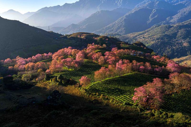 mai anh dao,  Sa Pa anh 7
