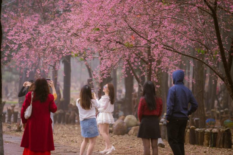 Da Lat anh 2