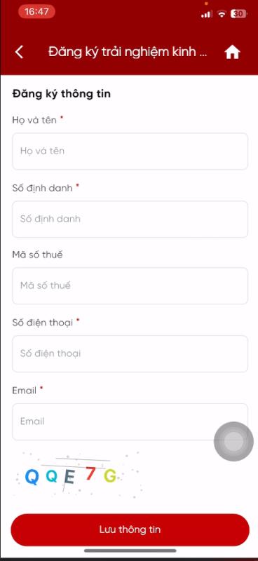 thue anh 2
