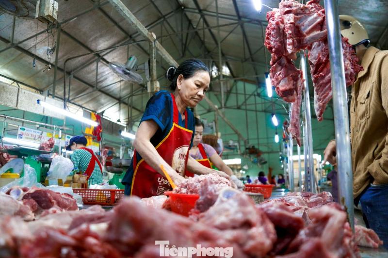 heo anh 1