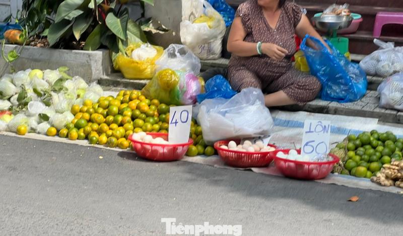 heo anh 2