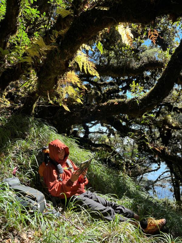 Phu Sa Phin,  trekking anh 4