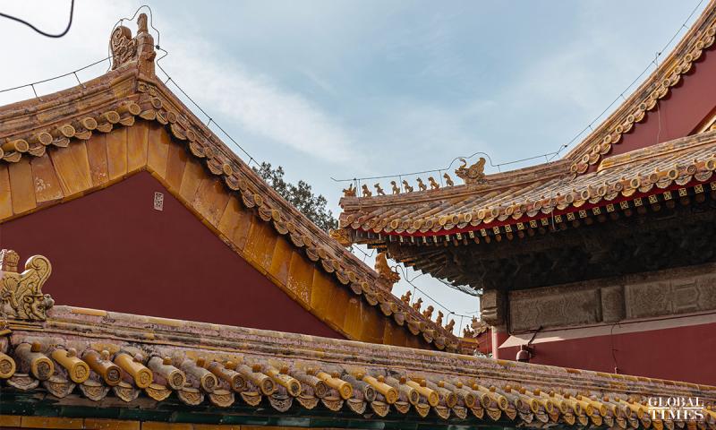 Tu Cam Thanh anh 8
