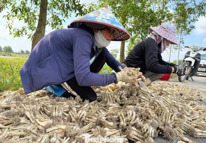 Kieu Tet anh 11