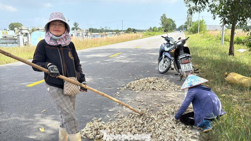 Kieu Tet anh 15