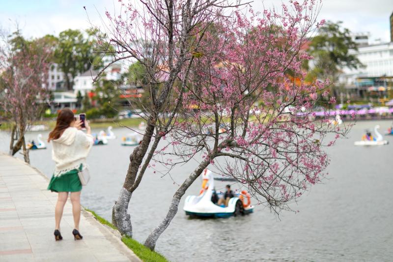 san bay Lien Khuong anh 7