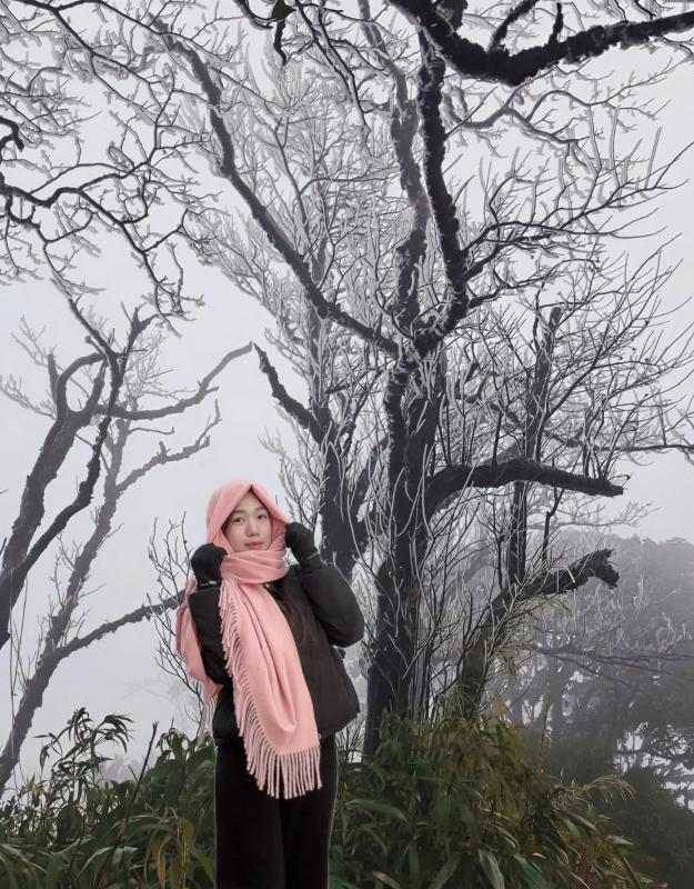 Bang gia anh 3