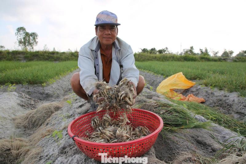 Kieu Tet anh 7